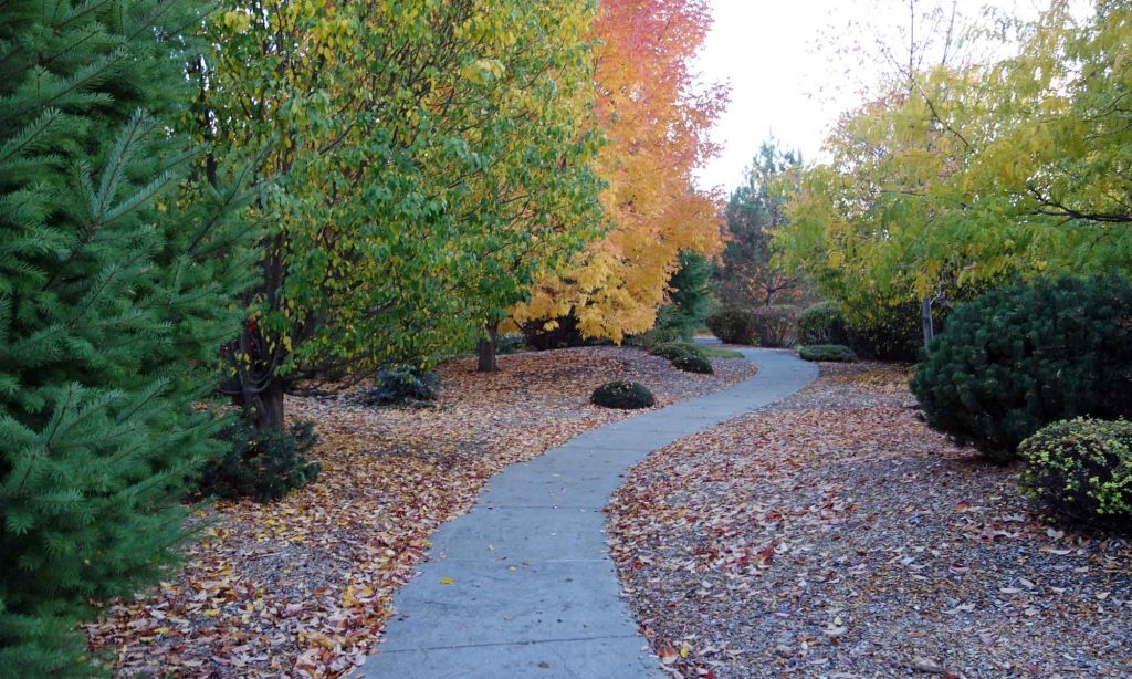 Architectural Review Committee The Villages of Garrison Creek